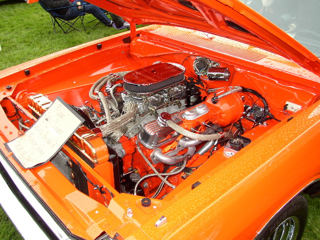 P1010059.JPG